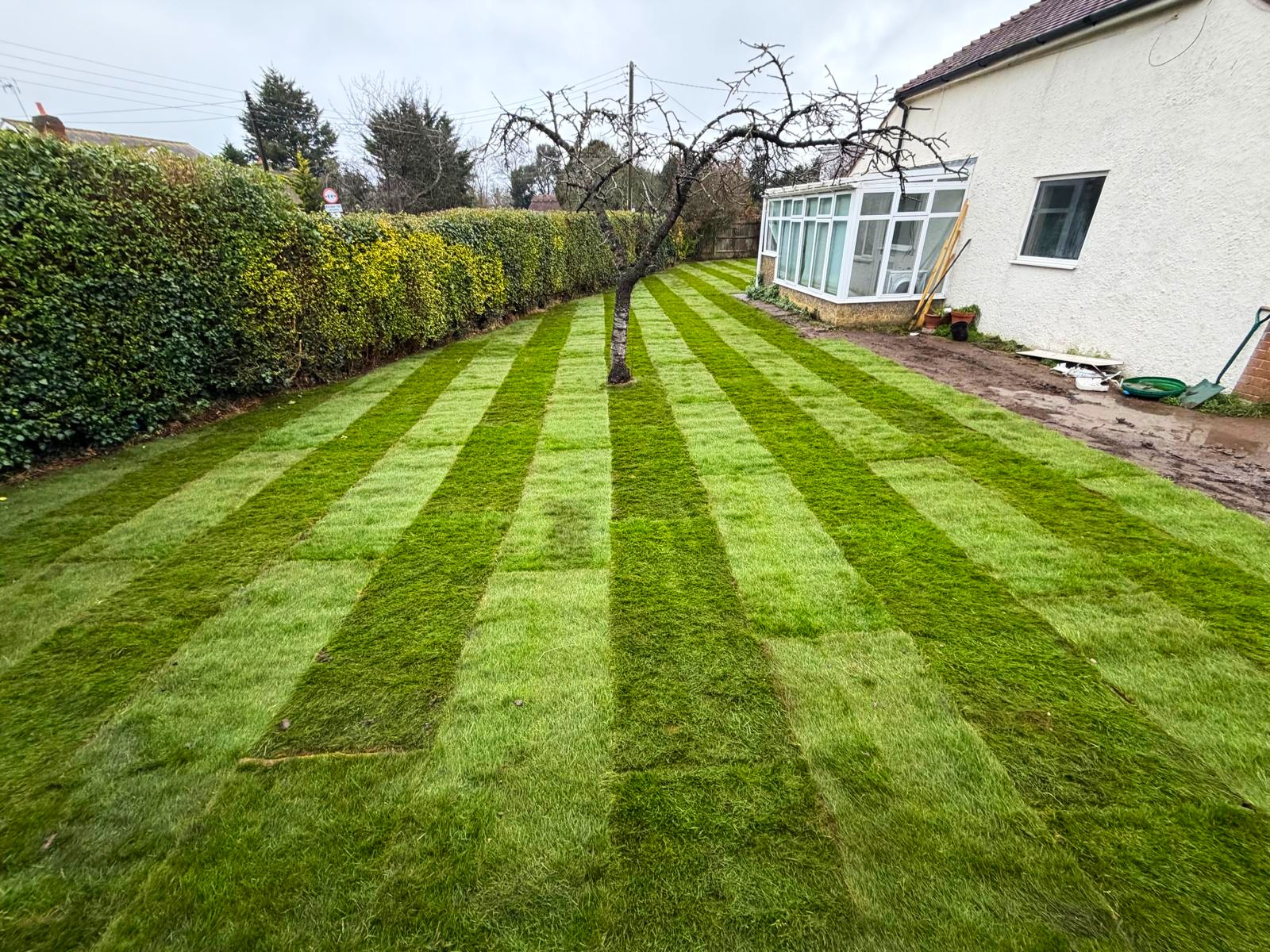 Turfing and lawn renovation Horley